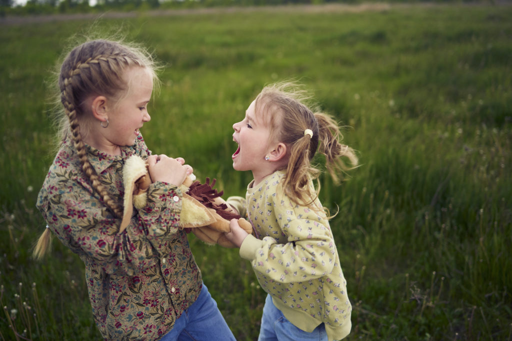 deux soeurs se disputent et se crient dessus. L'une d'elle essaye d'arracher le jouet des mains de l'autre.